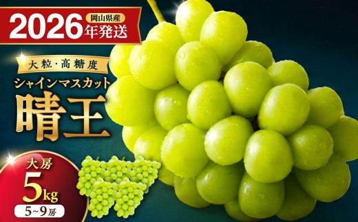 【2026年発送分】岡山県産シャインマスカット「晴王」秀品 大房　約5kg（5～9房程度）（令和8年8月中旬～11月中旬頃発送）【 シャインマスカット 晴王 フルーツ 果物 くだもの 葡萄 ぶどう 岡山県産 秀品 大房 種無し 高糖度 】hz-s