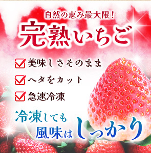 完熟・急速 冷凍いちご 4kg | 2週間以内に発送