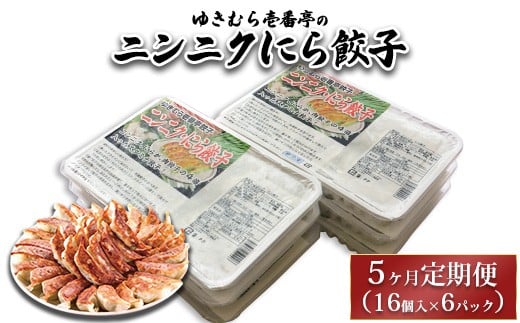 
            【5ヶ月定期便】ゆきむら壱番亭のニンニクにら餃子6パック(96個入り) ※離島への配送不可
          