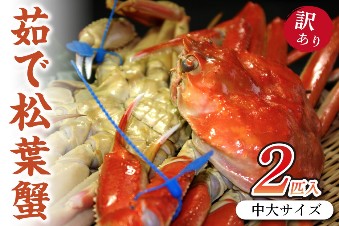 日本海産　ブランド蟹　茹で松葉蟹【訳あり】中大サイズmatubakani800 2匹入り SS00082