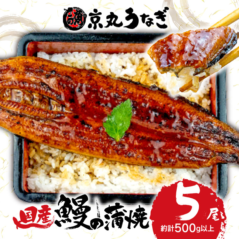 国産 うなぎ 蒲焼 5尾 約500g 鰻 肝 佃煮 ギフトボックス セット 老舗 うなぎ処京丸 沼津市 静岡県