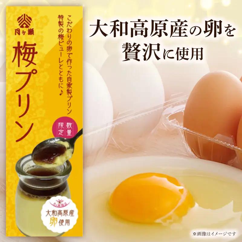 梅プリン 8個入り