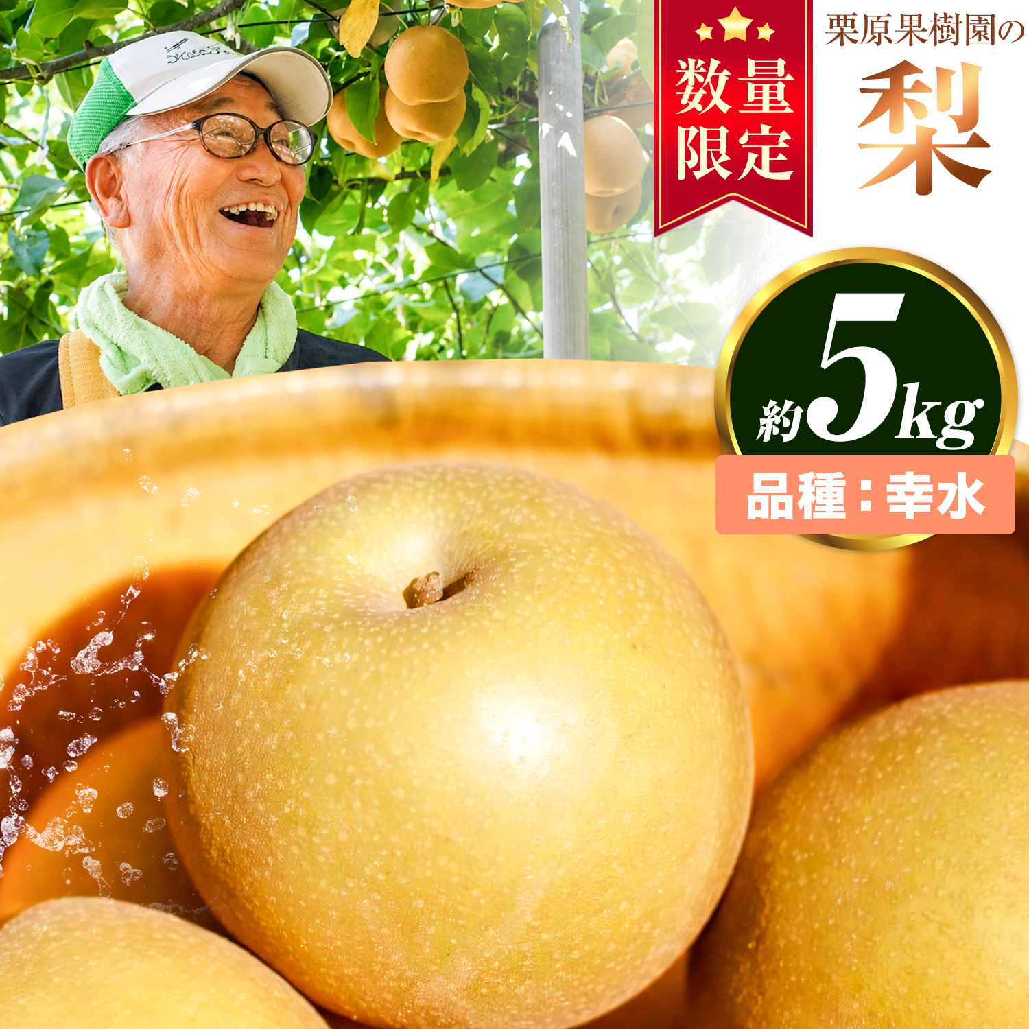 【先行予約】栗原果樹園梨 5kg 幸水 《8月上旬-8月下旬頃出荷予定》茨城県 結城市 なし 梨 フルーツ 旬 果物 【配送不可地域あり】(離島)---yuki_krh_2_5kg---