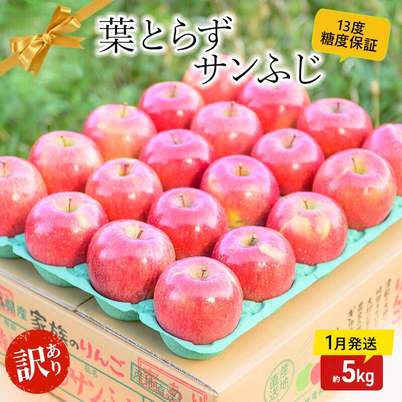 【ふるさと納税】【 1月発送 】糖度13度以上 訳あり品 家庭用 葉とらず サンふじ 約 5kg 【 青森りんご 】 果物 フルーツ 食後 デザート 青森県産 産地直送　お届け：2026年1月20日頃～2026年1月31日