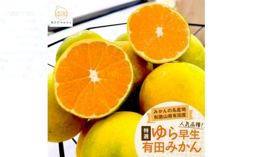 ［先行予約］特選 ゆら早生有田みかん約3kg［2025年10月上旬より発送］［サイズ混合］［MS24］