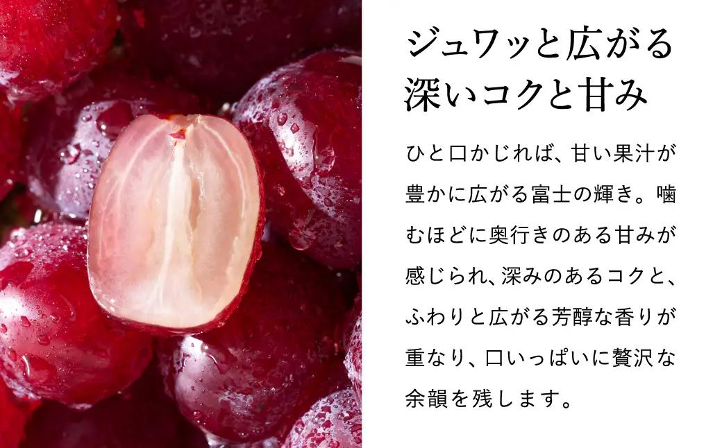 富士の輝き 豊岡ぶどう 600g【2026年先行予約】