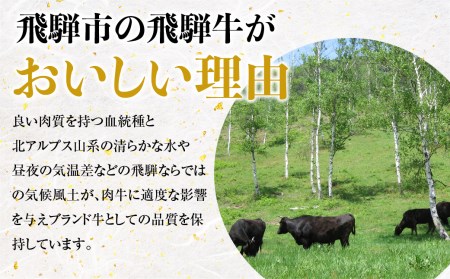 《定期便》飛騨牛 4回お届け 4ヶ月 焼肉 すき焼き しゃぶしゃぶ ミニステーキ 300g 5等級[Q602]