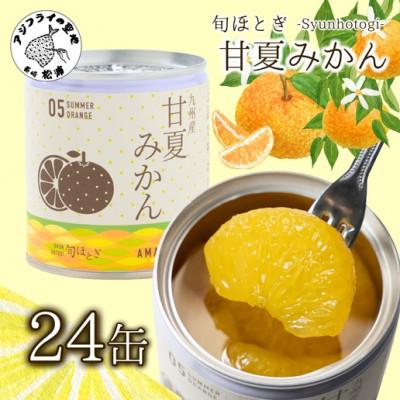 ふるさと納税 松浦市 缶詰工場直送　特選果実「旬ほとぎ」甘夏みかん24缶