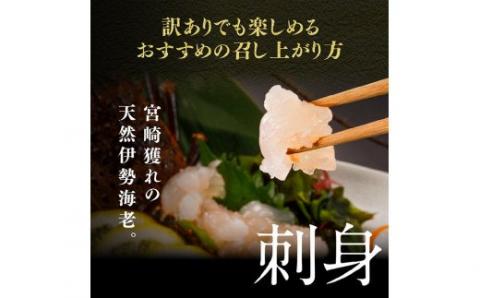 【訳あり】冷凍伊勢海老2kg（3～10尾）【期間限定 数量限定 魚介類 えび 伊勢えび イセエビ】[C01707]