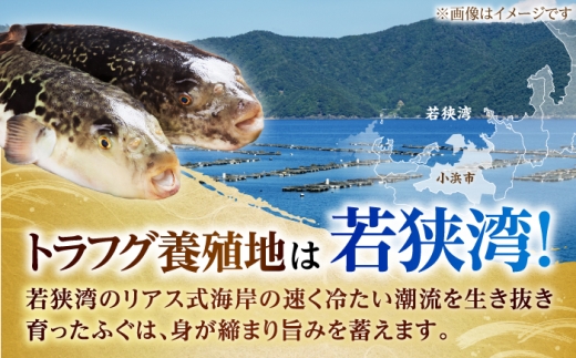 若狭ふぐ お手軽 鍋 刺身 セット [冷蔵](未冷凍) 2人前｜【TVで紹介されました : 旅サラダ】 てっさ てっちり （とらふぐ 刺身）福井県産 産地直送 【配送不可地域：北海道・沖縄・離島】  