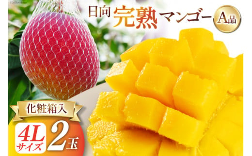 【2025年夏発送】 宮崎 完熟 マンゴー 秀品 A品 4L×2玉 化粧箱入り [宮崎県農業協同組合日向地区本部（販売課） 宮崎県 日向市 452060662] 果物 フルーツ 完熟マンゴー 甘い 日向 化粧箱 期間限定 冷蔵