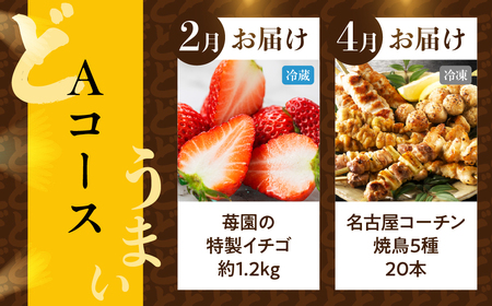 渥美半島の恵み どうまい 定期便 全5回 Aコース （ いちご 焼き鳥 うなぎ メロン 豚肉 ハム ソーセージ ) 青うなぎ 名古屋コーチン マスクメロン ご当地 人気 頒布会