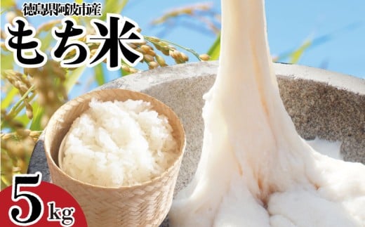 もち米 5kg 赤飯 おはぎ 5キロ コメ 備蓄 備蓄米 保存 防災 災害 おこわ 雑煮 大福 あられ イベント 餅つき 須見商店 阿波市 徳島県