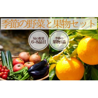 ふるさと納税 南伊豆町 湯の花　季節の野菜と果物セット
