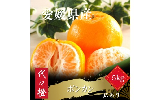 【先行受付】＜濃厚な甘さ＞＜訳あり＞ポンカン 5kg＜C83-15＞【1549105】 YWTW015