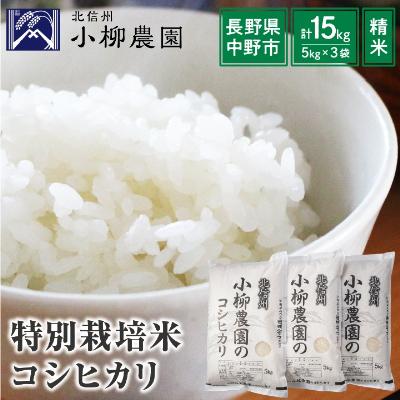 ふるさと納税 中野市 小柳農園の特別栽培米コシヒカリ15kg(5kg×3)