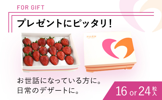 【2026年2月から順次発送】 魅惑の黒いちご「真紅の美鈴」1箱 ふるさと納税 いちごイチゴ 苺 真紅の美鈴 黒いちご 黒イチゴ しんくのみすず 甘い 完熟 魅惑 赤 深紅 ワイン色 朝収穫 新鮮 美