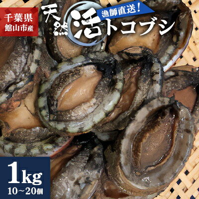 【ふるさと納税】【金曜日発送】漁師直送!天然活トコブシ1kg(10～20個)【配送不可地域：離島・北海道・沖縄県・東北・中国・四国・九州】【1532978】