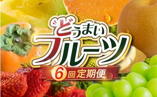 《先行予約》どうまい フルーツ 定期便 全6回 いちご メロン シャインマスカット 巨峰 梨 柿 みかん 果物 フルーツ 旬 先行予約