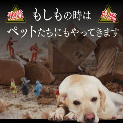 ふるさと納税 稚内市 常温保存OK ペットの非常食 エゾシカ水煮【200g×20パック】 |  | 01
