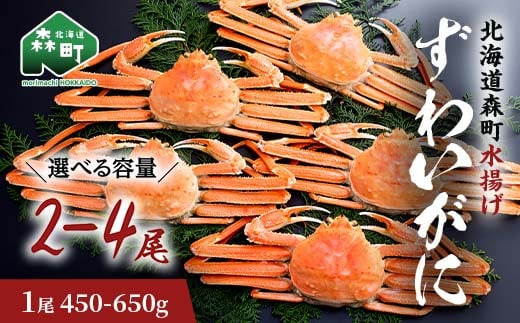 
            【選べる容量・選べる数量】ずわいがに（450g～650g）2尾～4尾 北海道森町水揚げ かに カニ 蟹 ガニ がに 森町 ふるさと納税 北海道 ずわいかに ズワイガニ mr1-0630
          