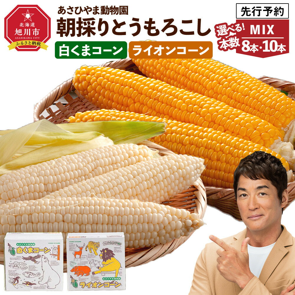【ふるさと納税】【容量選択可能】朝採りとうもろこしMIX8～10本 あさひやま動物園 白くまコーンとライオンコーンのミックス（2025年8月中旬から発送開始予定）_02157 | とうもろこし コーン スイートコーン ゴールドラッシュ 食べ比べ 冷蔵 旭川市
