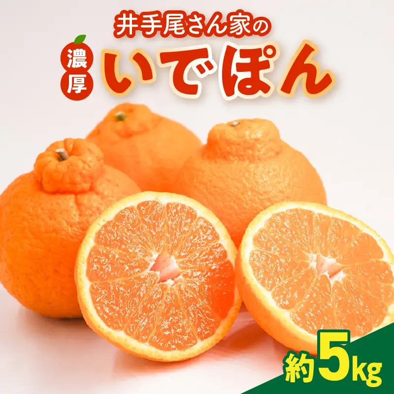 S086-002A_井手尾さん家の濃厚いでぽん 不知火 約5kg 柑橘〈先行予約〉 / 不知火 柑橘 みかん フルーツ
