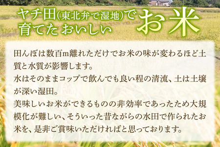 《令和7年産 新米受付》【白米】秋田県産 あきたこまち ヤチ田で育てたお米 精米 10kg