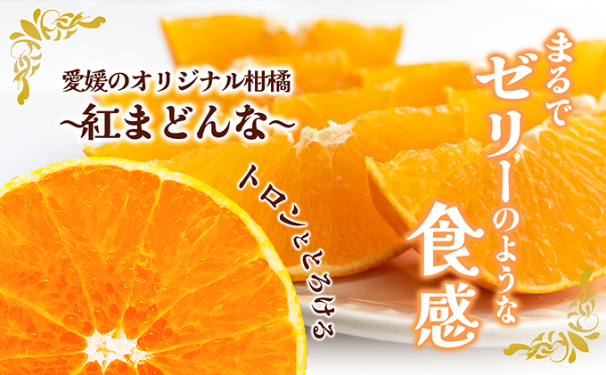 【100箱限定！申込11/20まで】愛媛県産 紅まどんな 「青秀」JA正規品 約3kg10玉～15玉入り 数量限定 12月～順次発送＜柑橘 甘い 高級 極上 JA直送 正規みかん 愛果28号＞
