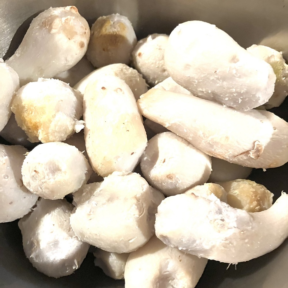 【先行受付】とびきり美味しい！ 自然農育ち 里芋 5kg 軽洗 皮まで食べられる 軽洗い さといも サトイモ 里いも 皮つき 無農薬野菜 野菜 芋煮 煮物 コロッケ 具材【R01345】