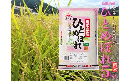 225M.鳥取県産ひとめぼれ◇精米5kg◇令和7年産