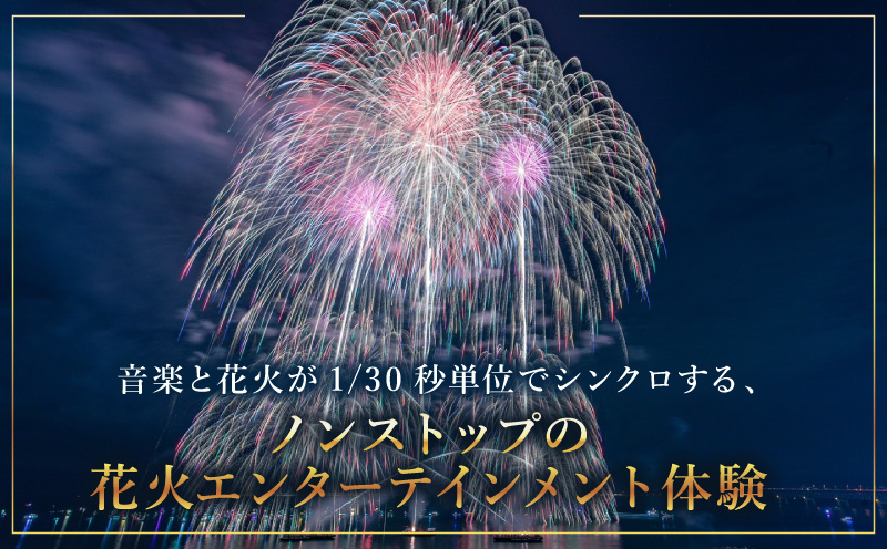先行予約 大阪芸術花火2025 観覧チケット 大人1席分 099H3683