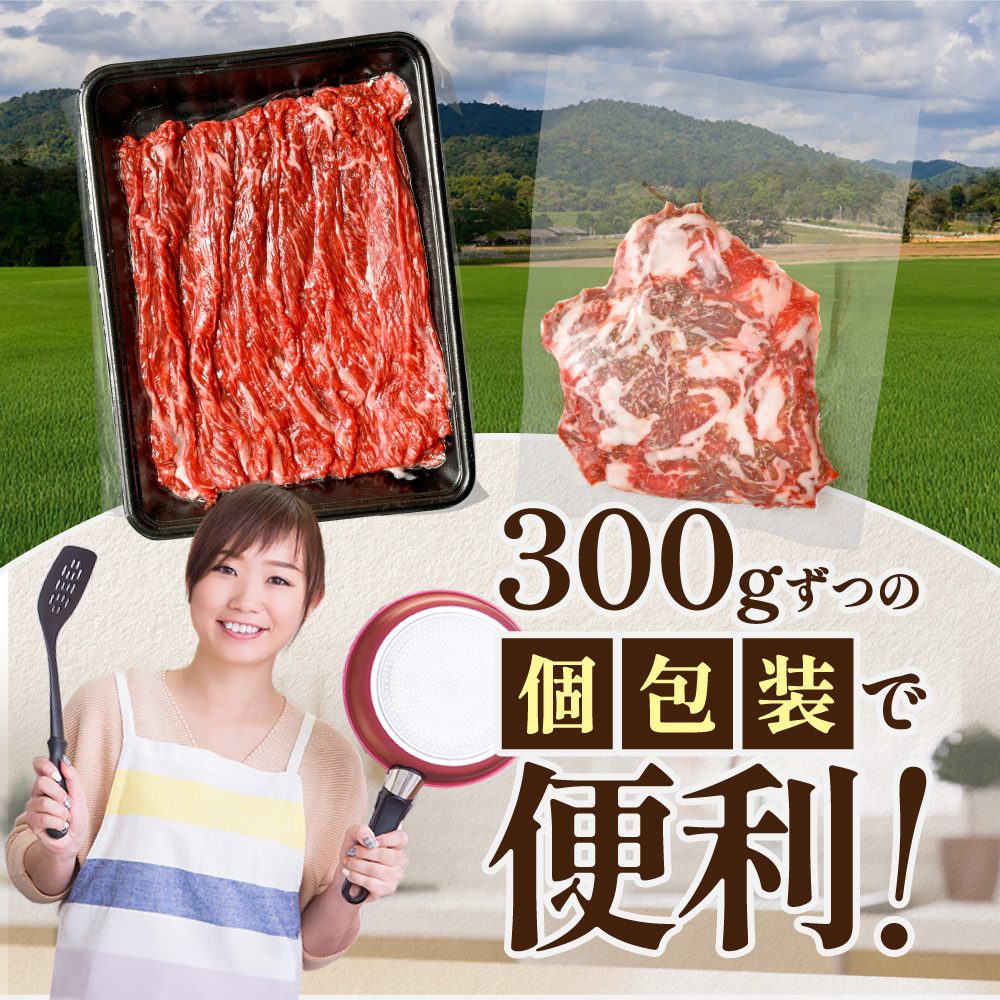 やわらか牛 赤身スライス600ｇ(300g×2P)【KK002LI01】