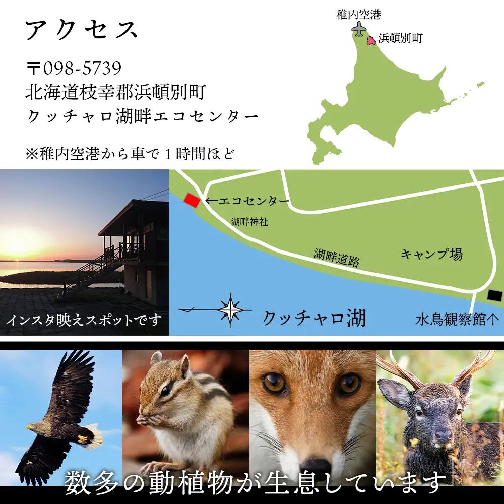 カヌー 体験 チケット 1名様《クッチャロ湖エコワーカーズ》秘境 ショートコース クッチャロ湖 アウトドア