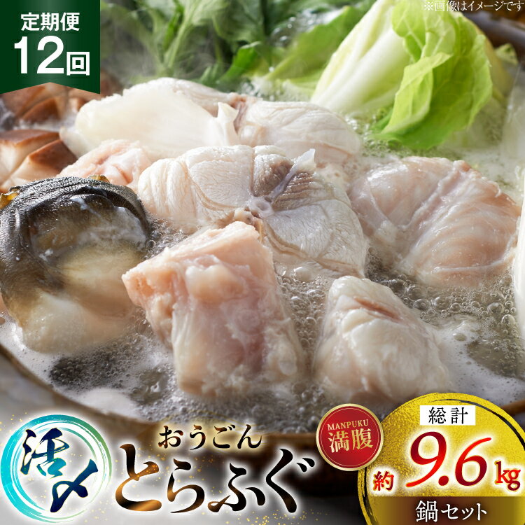 【ふるさと納税】ふぐ 鍋 セット 活〆 おうごんとらふぐ 満腹 鍋セット 約800g 12回 定期便 総計 約9.6kg [松永水産 長崎県 平戸市 hr42bgy400189] とらふぐ フグ 河豚 てっちり ふぐちり ふぐ料理 魚介 さかな 切り身 冷凍 海鮮 ふぐ鍋 唐揚げ