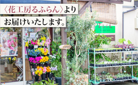 【12回定期便】 バラ の 花束 （濃い ピンク ） ＜花工房るふらん＞ [CCR025]