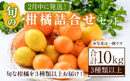 ＜2027年2月発送分！＞旬の柑橘詰合せセット (約10kg) 国産 鹿児島県 阿久根市 果実 果物 フルーツ 柑橘 みかん ミカン 旬 詰め合わせ セット【桐野柑橘株式会社】akn070-16-m02