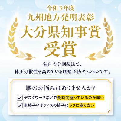 ふるさと納税 大分市 腰痛予防に!体圧分散 フォーケアクッションBasic　厚さ8cm_R11008 |  | 01