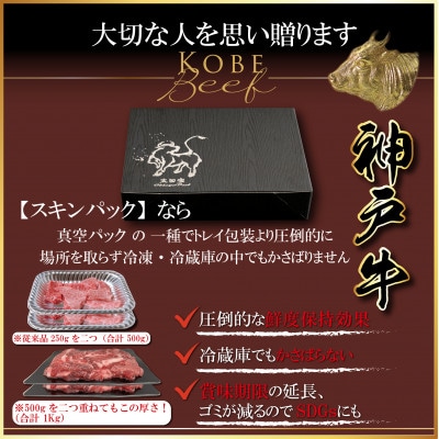 神戸牛 ロースステーキ 250g×2枚 計500g AGST5 【2026年4月より順次発送】【配送不可地域：離島】【1682464】