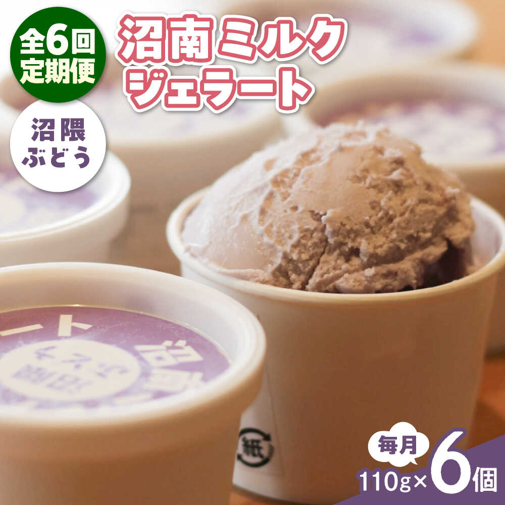 【ふるさと納税】【全6回定期便】沼南ミルクジェラート 沼隈ぶどう 6個 アイス ぶどう アイス アイスクリーム デザート スイーツ ご当地 おすすめ 人気 ひんやりスイーツ お取り寄せグルメ 詰め合わせ セット ギフト 贈り物 定期便 広島県福山市/甚ごろう[BAEC043]