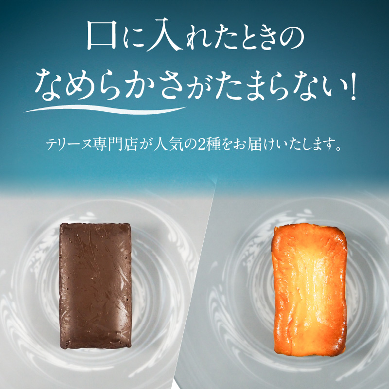 【テリーヌ専門店L】（約２００g）濃厚チョコレート・バスク風チーズ2種のテリーヌセット【グルテンフリー・保存料不使用】 スイーツ H173-012