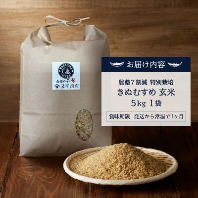 ふるさと納税 焼津市 令和7年産　農薬7割減 特別栽培 きぬむすめ 玄米 5kg(a14-132) |  | 03