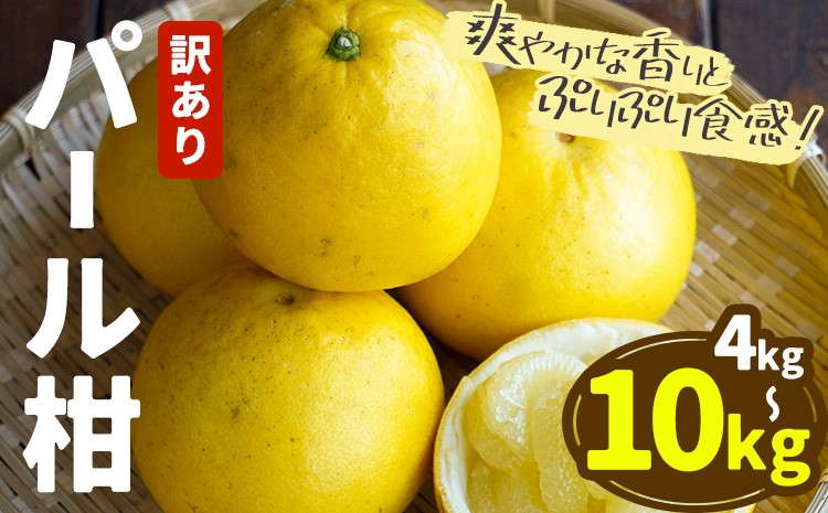 
                  【2027年先行予約】訳あり パール柑 選べる 約4kg 約10kg 都呂々みかん生産者グループ《2027年3月上旬-4月中旬頃出荷予定》熊本県 苓北町 みかん 果物 フルーツ
                
