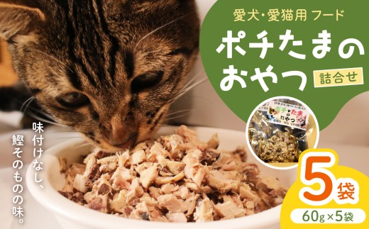 田子丸の「ポチたまのおやつ　詰め合わせ」60ｇ×５ 犬 猫 いぬ ねこ イヌ ネコ 鰹なまり節 かつお カツオ 常温 西伊豆 伊豆 ギフト お歳暮 お中元