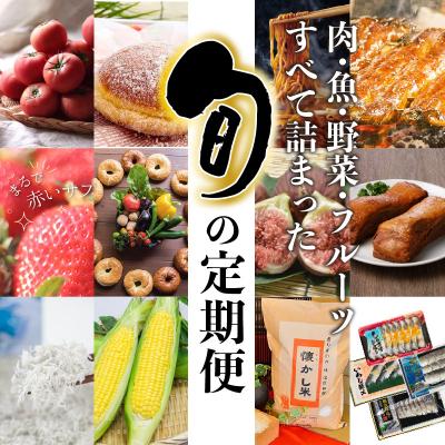 ふるさと納税 碧南市 厳選定期便! 【全12回】肉・魚・野菜・フルーツすべて詰まった旬の定期便  H028-087
