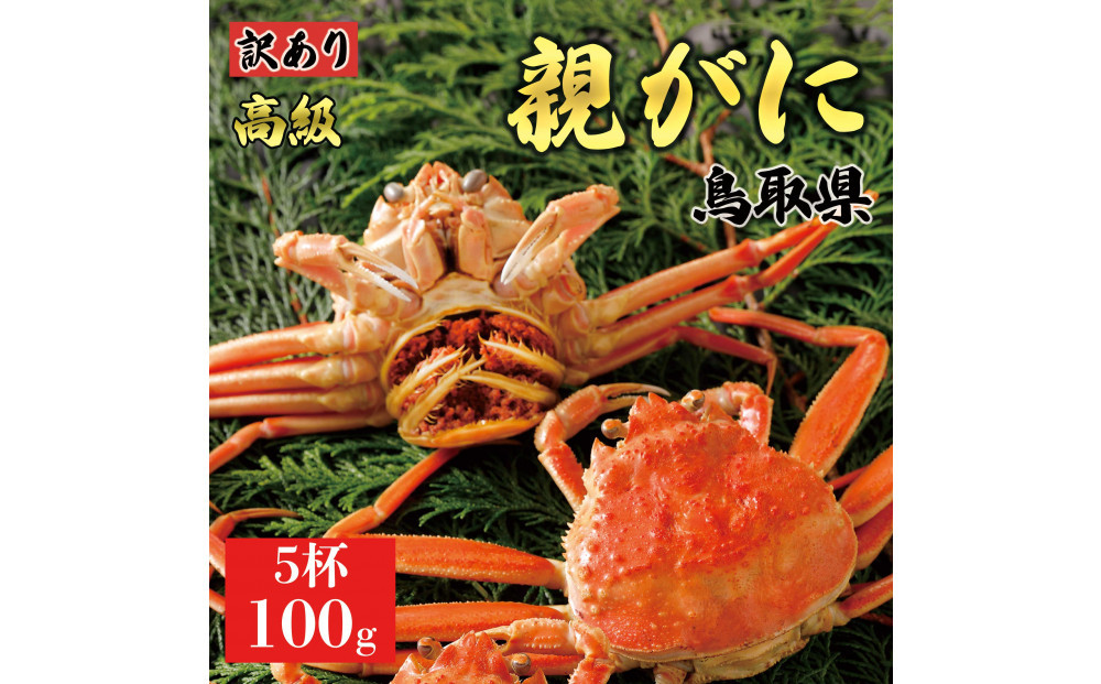 【2026年11月発送】鳥取県産 特撰 親がに 姿【セコガニ】（茹）【訳あり】100g 5杯