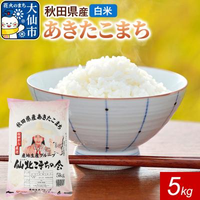 ふるさと納税 大仙市 米 あきたこまち 令和7年産【白米】5kg(5kg×1袋)秋田県産|22_skk-010501