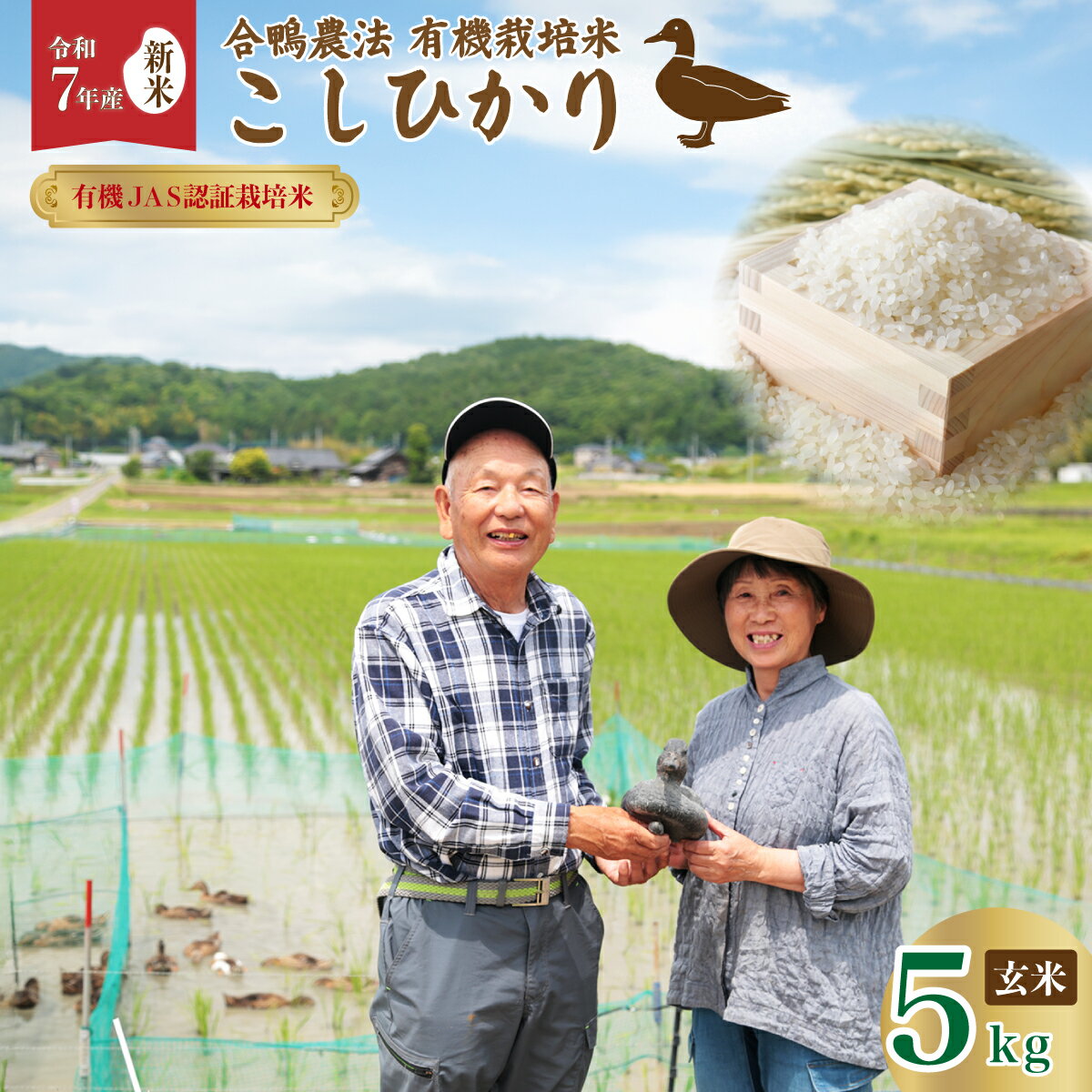 【ふるさと納税】【新米 先行予約】R7年産 コシヒカリ 合鴨常陸青龍米 玄米5キロ | こしひかり 有機栽培米 有機栽培 オーガニック 農薬・化学肥料不使用 お米 玄米 地元産 青龍米 合鴨農法 コシヒカリ ブランド米 ツヤツヤ もっちり ふっくら 甘み 茨城県 常陸太田市