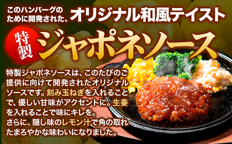 特製ジャポネソースハンバーグ 150g×20個 国産牛肉使用 《7-14日以内に出荷予定(土日祝除く)》 冷凍 大容量 玉東町 国産 肉 牛肉 豚肉 返礼品 温めるだけ 小分け 簡単 調理 特製 惣菜