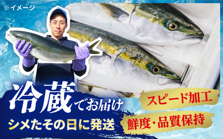 ※配達日時指定必須※【呼子ノ瀬戸名物】養殖ブリ「光鰤」半身（刺身用）1.4～1.5kg＜小山水産＞ [CDZ001]